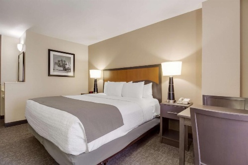 SureStay Plus Hotel by Best Western Houston Medical Center image 7