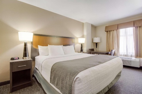 SureStay Plus Hotel by Best Western Houston Medical Center image 8